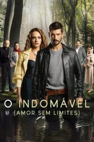 O Indomável (Amor Sem Limites)